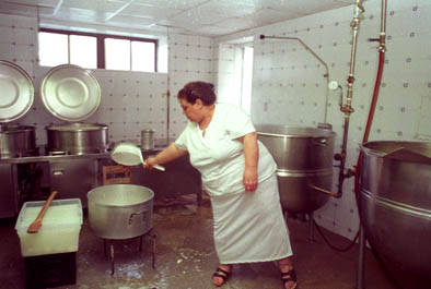 Maria Cubellis making mozarella cheese, Mozzarella, 2000; Maria Cubellis (b. 1948); Everett, Massachusetts; Photography by Dore Gardner